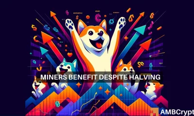 Shiba Inu surges 18% in 24 hours: Did the Bitcoin halving help SHIB rally?