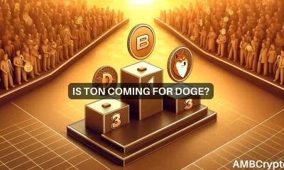 Is DOGE in danger of falling off? All about TON's race to #8