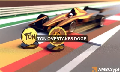 TON's 10% rise in 24 hours allows it to flip DOGE, but the race isnt over