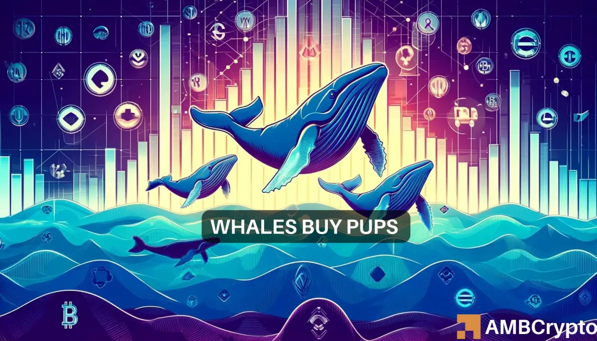 Solana-based memecoins WIF, BODEN's whales are moving to PUPS - Why?