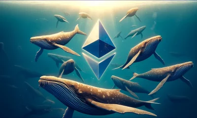 Whales are accumulating Ethereum