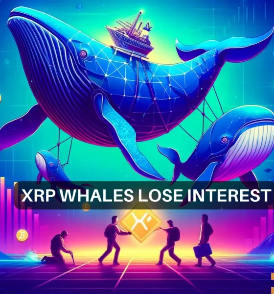 Exploring XRP's sell-off: As whales start to exit, should you do the same?