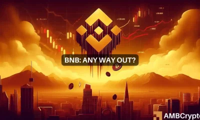 BNB Chain's revenue takes a hit: Examining the root cause