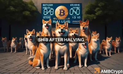 How will Shiba Inu react after halving?