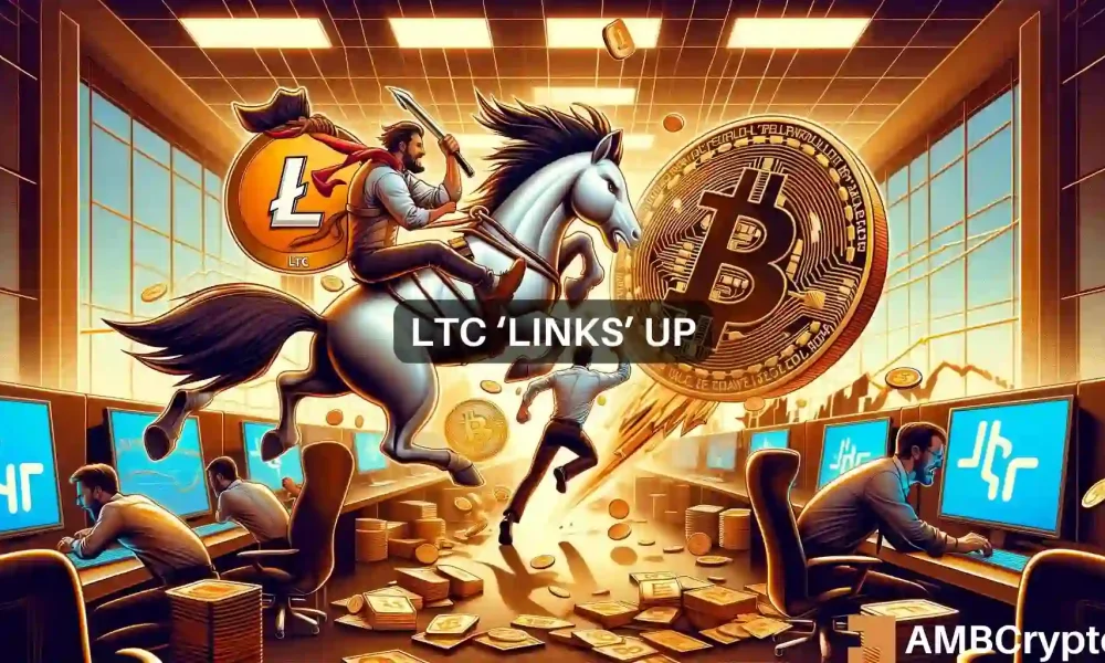 Następstwa halvingu Bitcoina: LTC i LINK stają się ulubieńcami inwestorów