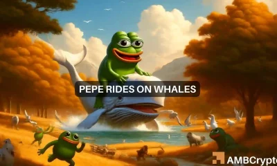 Whale buys 211B PEPE tokens: Impact of the Bitcoin halving?