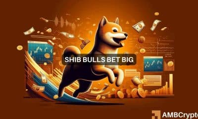 Shiba Inu: THIS indicates price rise - What moves should you make?