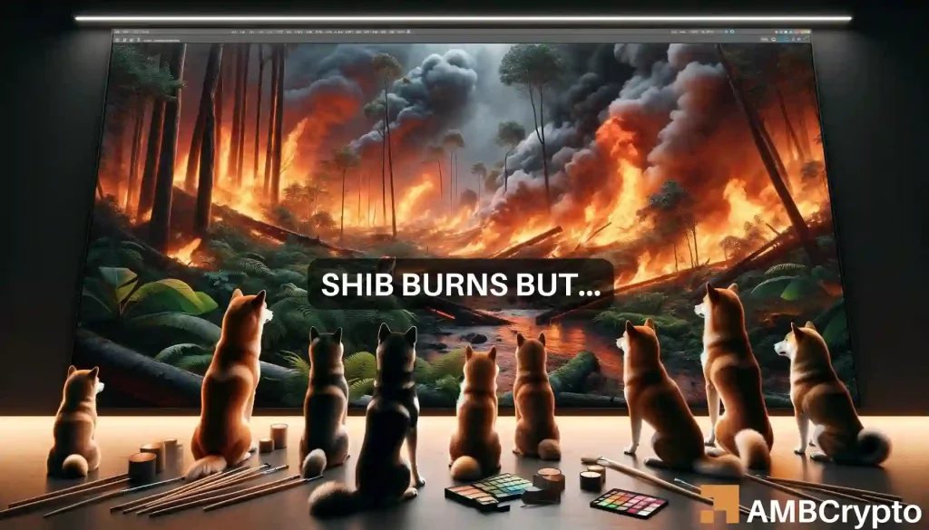 Shiba Inu burns 798M tokens - Now, what should you expect from SHIB?