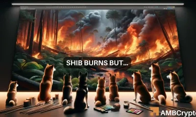 Shiba Inu burns 798M tokens - Now, what should you expect from SHIB?