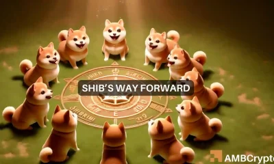 Shiba Inu gets Shibarium boost