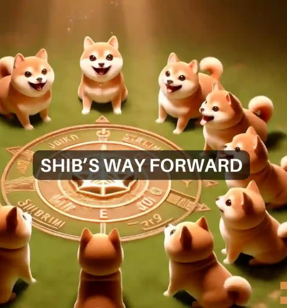 Shiba Inu gets Shibarium boost