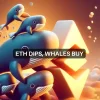 Whales buy ETH Dip