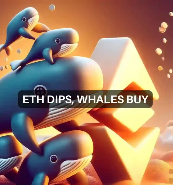 Whales buy ETH Dip