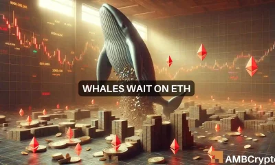 Whales wait on Ethereum