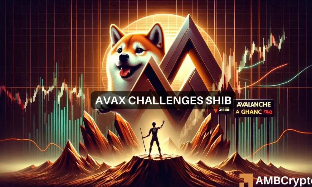 Shiba Inu vs Avalanche: AVAX SHIB’in üssünü tehdit ediyor mu?