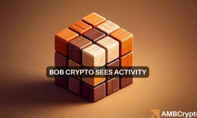 Anticipation builds as BOB crypto preps for major token airdrop