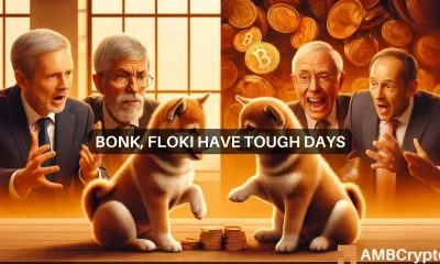 FLOKI, BONK's volatile week: Will the bear runs continue?
