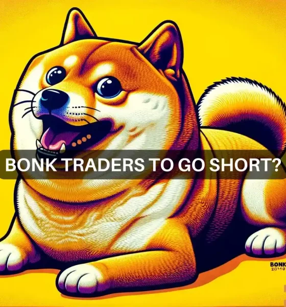 BONK price prediction: A 30% bounce after a 15% drop?
