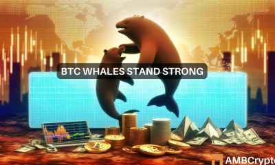 Diving into Bitcoin whale activity: 15K BTC snapped up in 2 days