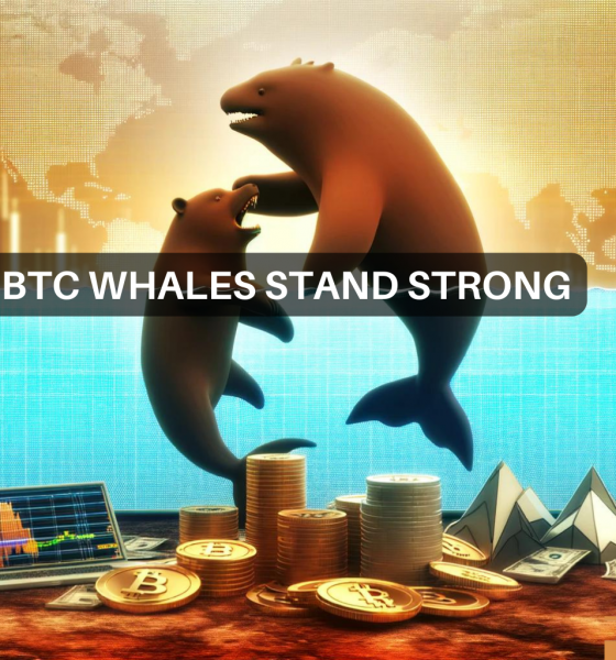 Diving into Bitcoin whale activity: 15K BTC snapped up in 2 days