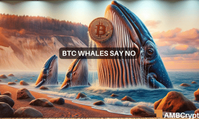 Whale Watch - Here's what Bitcoin's big players are doing this week