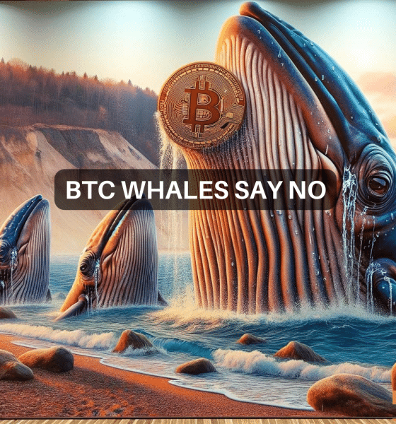 Whale Watch - Here's what Bitcoin's big players are doing this week