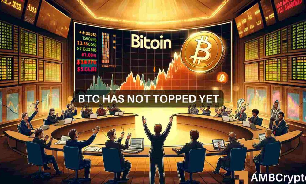 Bitcoin ‘has more room to run before topping out’ – Analyst