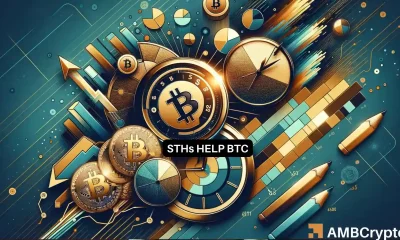 Bitcoin STH's on the rise
