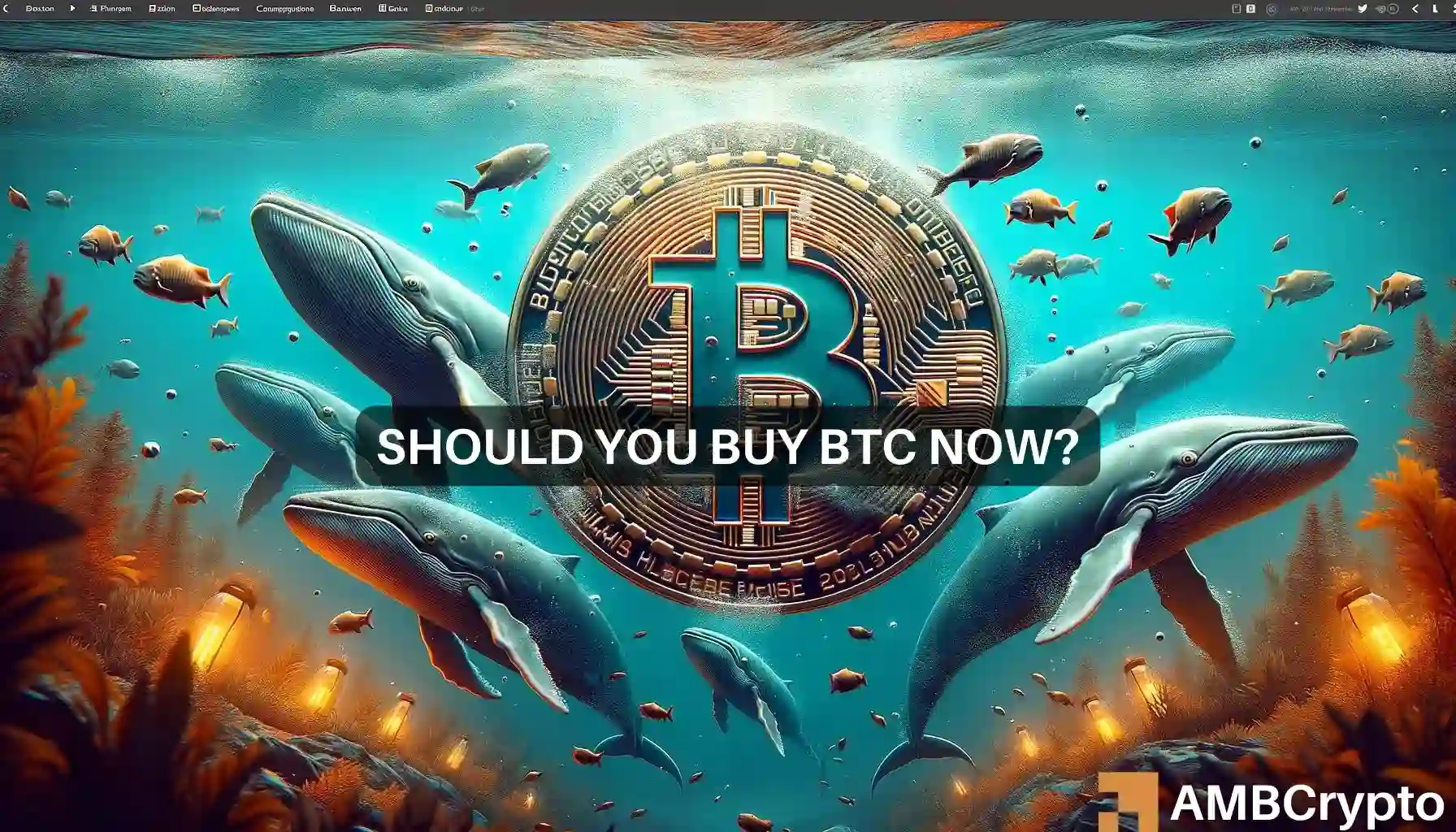 Bitcoin whales are accumulating