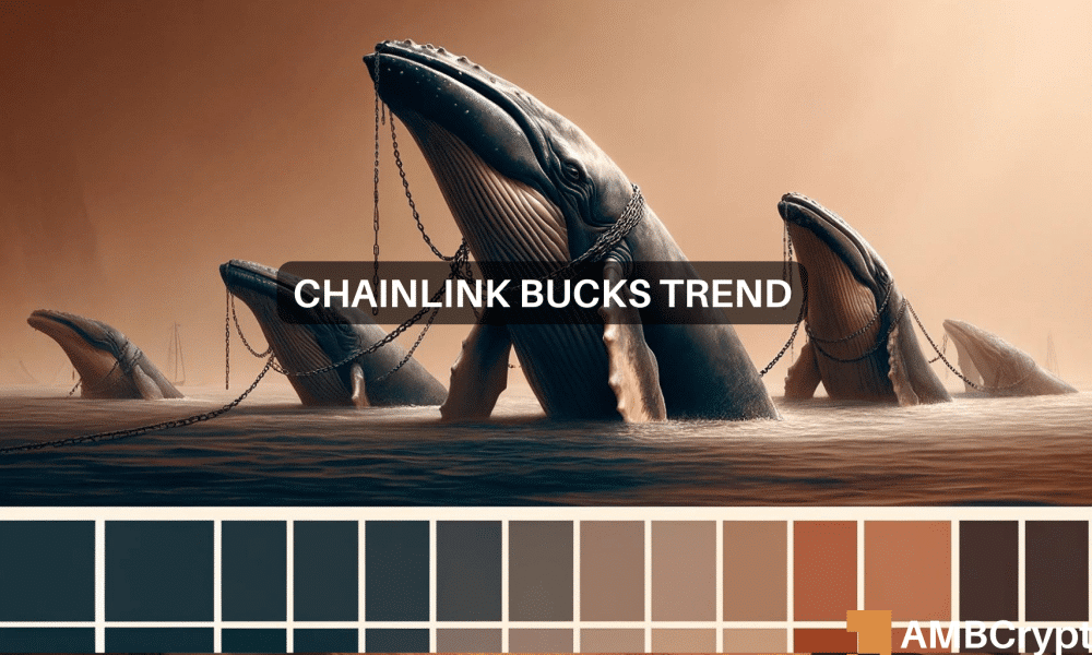 Chainlink’s latest multi-month high – All about how it affects LINK’s price