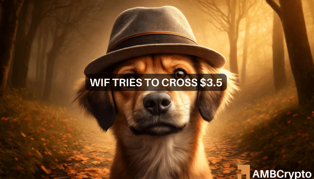 Dogwifhat climbs 20%, crosses $3: Is $5 next for WIF?