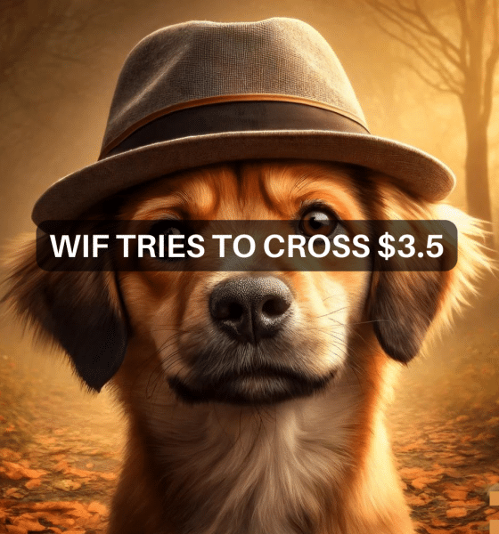 Dogwifhat climbs 20%, crosses $3: Is $5 next for WIF?