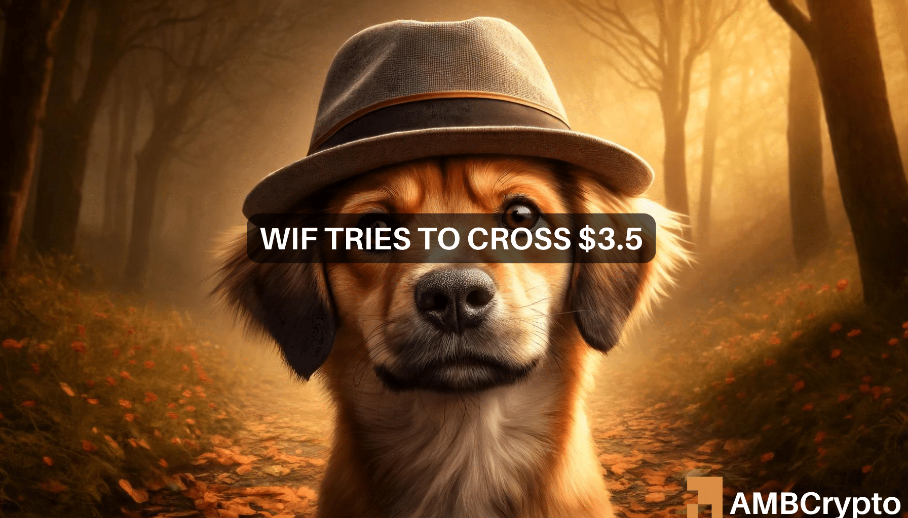 WIF’s road to $5 – After latest 20% price hike, how feasible is it?