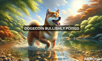 Why Dogecoin [DOGE] cannot rise beyond THIS level