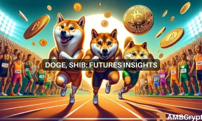 Decoding Meme Coin Dynamics: Examining Dogecoin and Shiba Inu differences