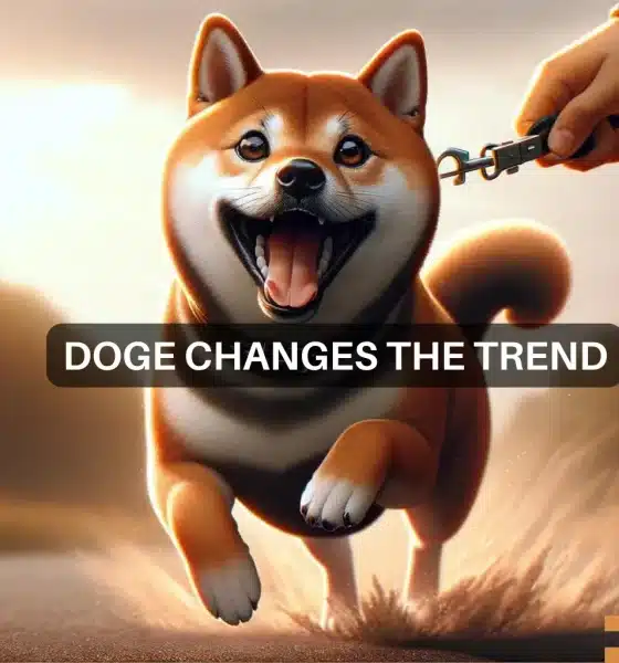 Dogecoin's 15% rise in 7 days means THIS for your DOGE holdings