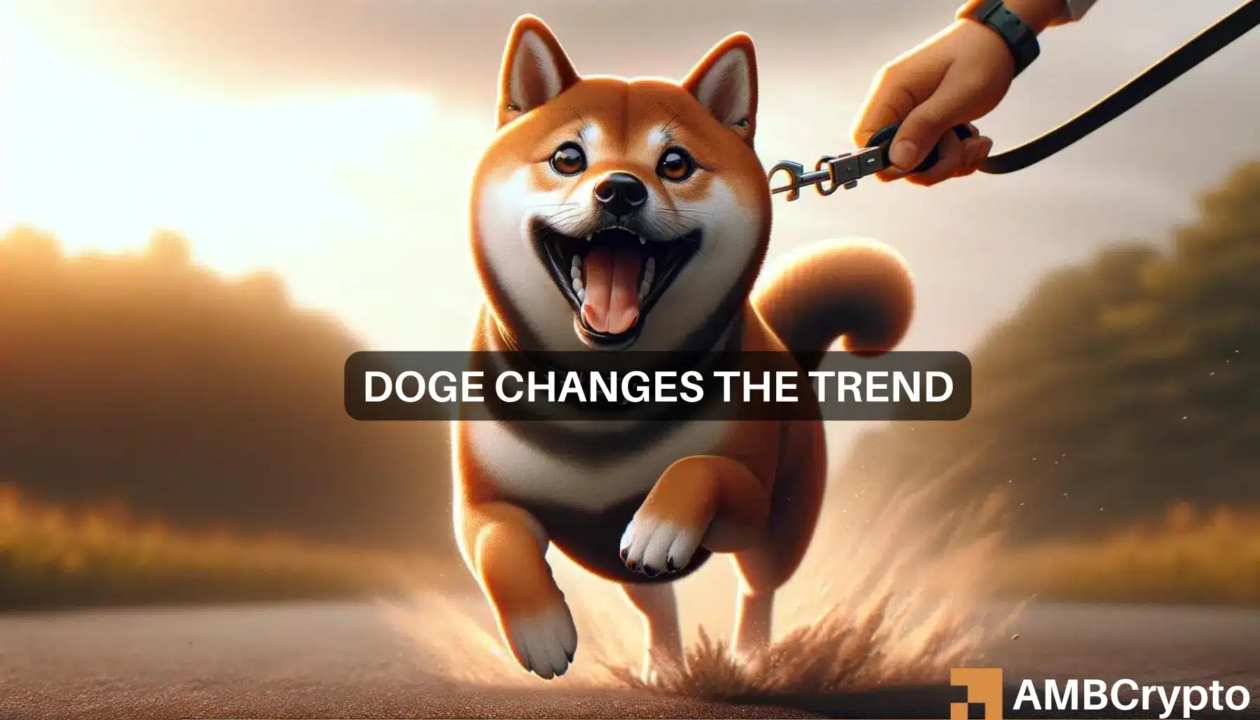 Dogecoin’s 15% rise in 7 days means THIS for your DOGE holdings