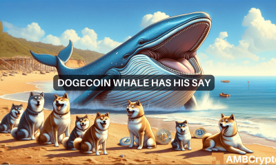 Identifying if Dogecoin whale's $30M transfer is the first sign of a sell-off