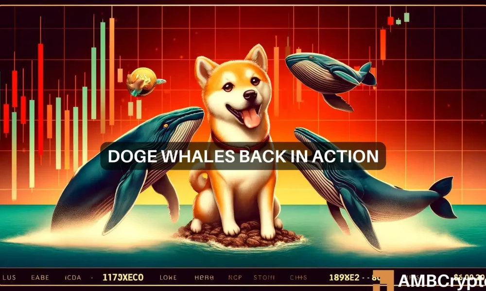 Dogecoin: Wieloryby przekazują 17 miliardów DOGE w miarę spadku cen, co oznacza…