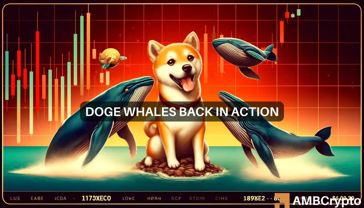 Dogecoin whales back in action