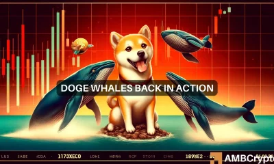 Dogecoin whales back in action