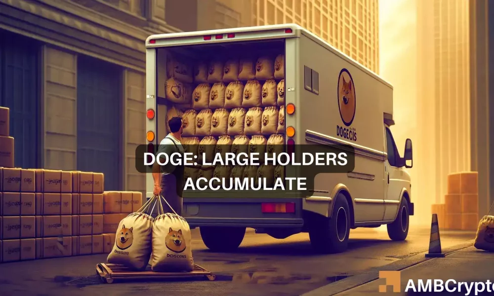 Los poseedores de Dogecoin aumentan su participación en un 1%: ¿265,86 millones de razones para comprar DOGE?
