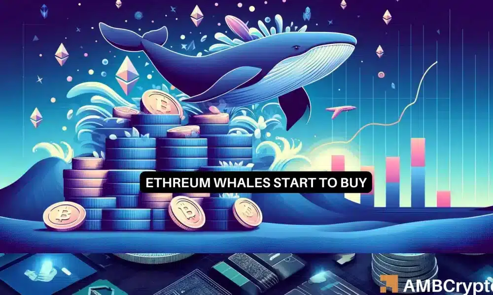 La balena di Ethereum raccoglie 15mila ETH: questo aiuterà finalmente i prezzi?
