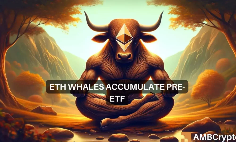 What’s behind Ethereum’s bull run? Whales, ETF approval, and…