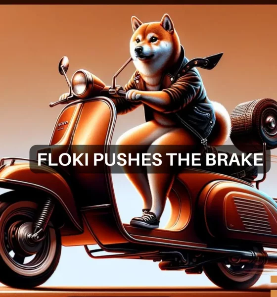 Floki Inu: Why $0.19 is an important level for FLOKI