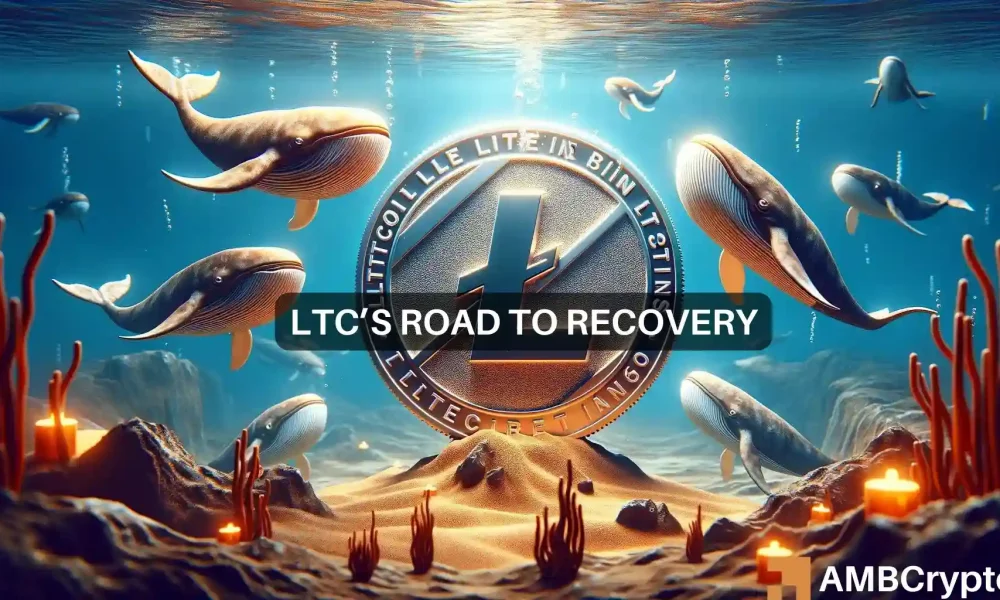 Litecoin’s 18% plunge attracts whales – Better things coming?