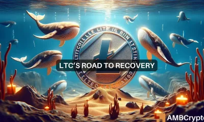 Litecoin's 18% plunge attracts whales - Better things coming?