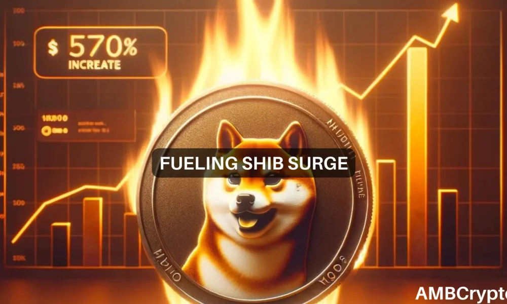 Shiba Inu burn rate explodes 570% – Will prices follow suit?