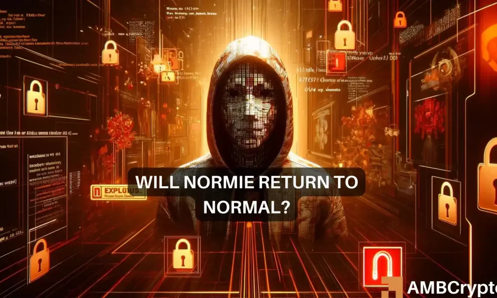 Normie crypto plummets 90%: What happened and what’s next?