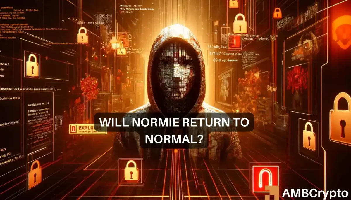 Normie crypto plummets 90% after hacker's flash loan attack